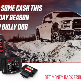 Get A Bully Dog Device And Save Money