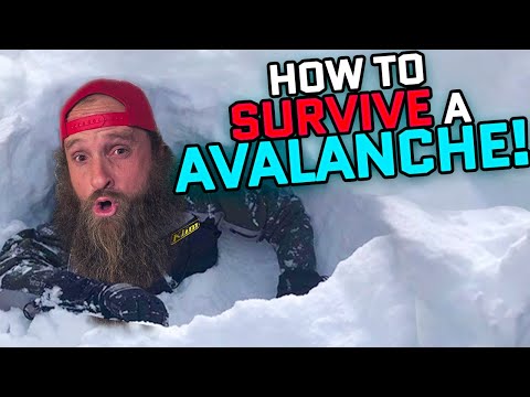 Could you survive an Avalanche?