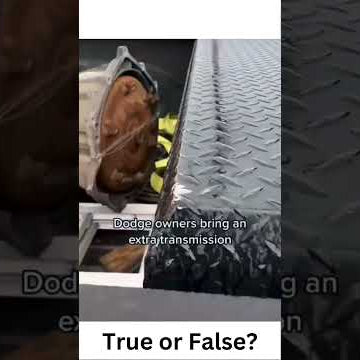 What do Dodge owners take on a trip?