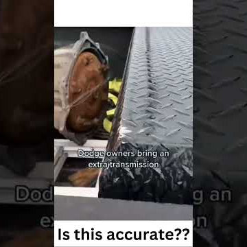 What do Dodge owners take on a trip?