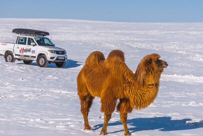 Mongolia Or Bust: Liqui Moly Extreme Offroad Mongolia Tours